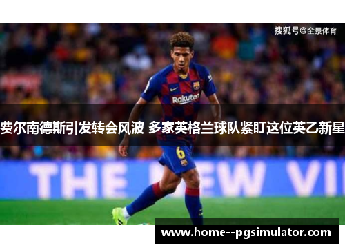 费尔南德斯引发转会风波 多家英格兰球队紧盯这位英乙新星 费尔南德斯引发转会风波 多家英格兰球队紧盯这位英乙新星