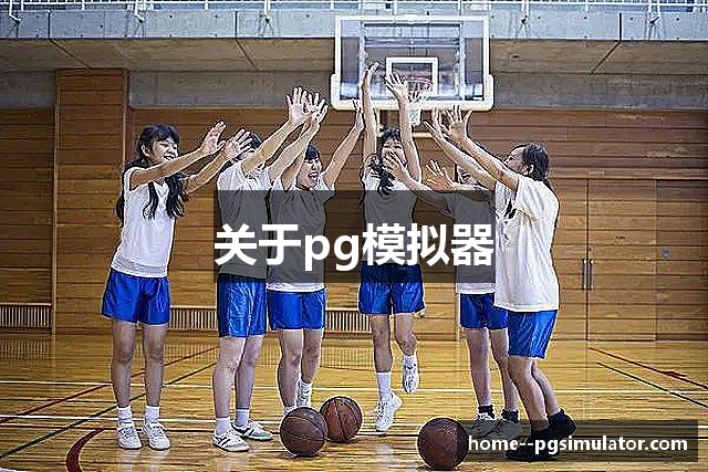 关于pg模拟器